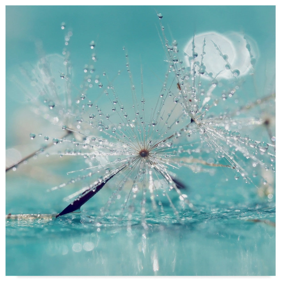Incredi ''Catching Dreams'' Canvas Art, 24"x24"