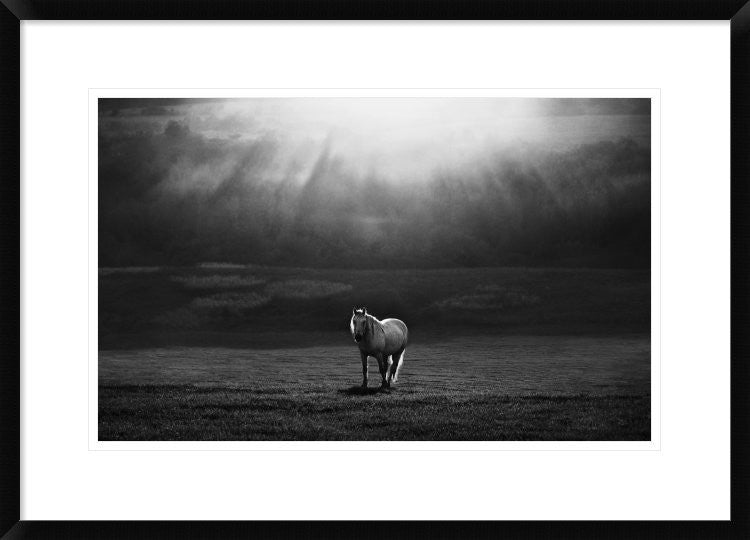 "Morning Appearance" Framed Digital Print by Peter Svoboda, 30x21"
