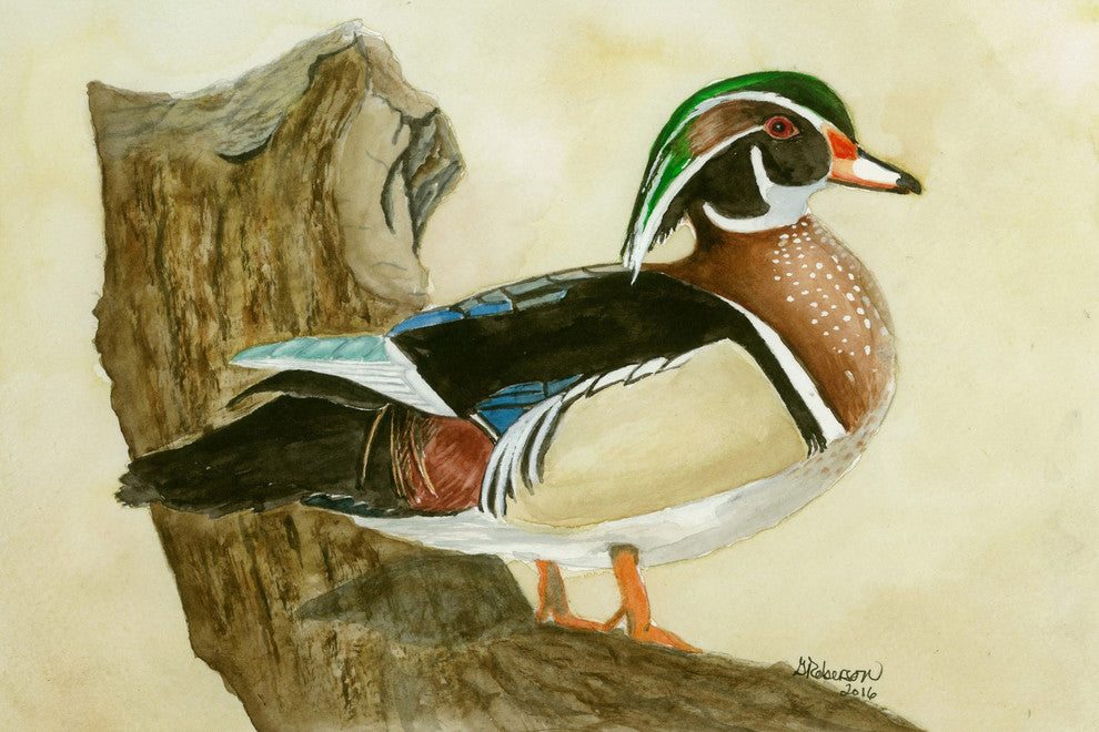 "Woodduck" Painting Print on Wrapped Canvas, 60"x40"