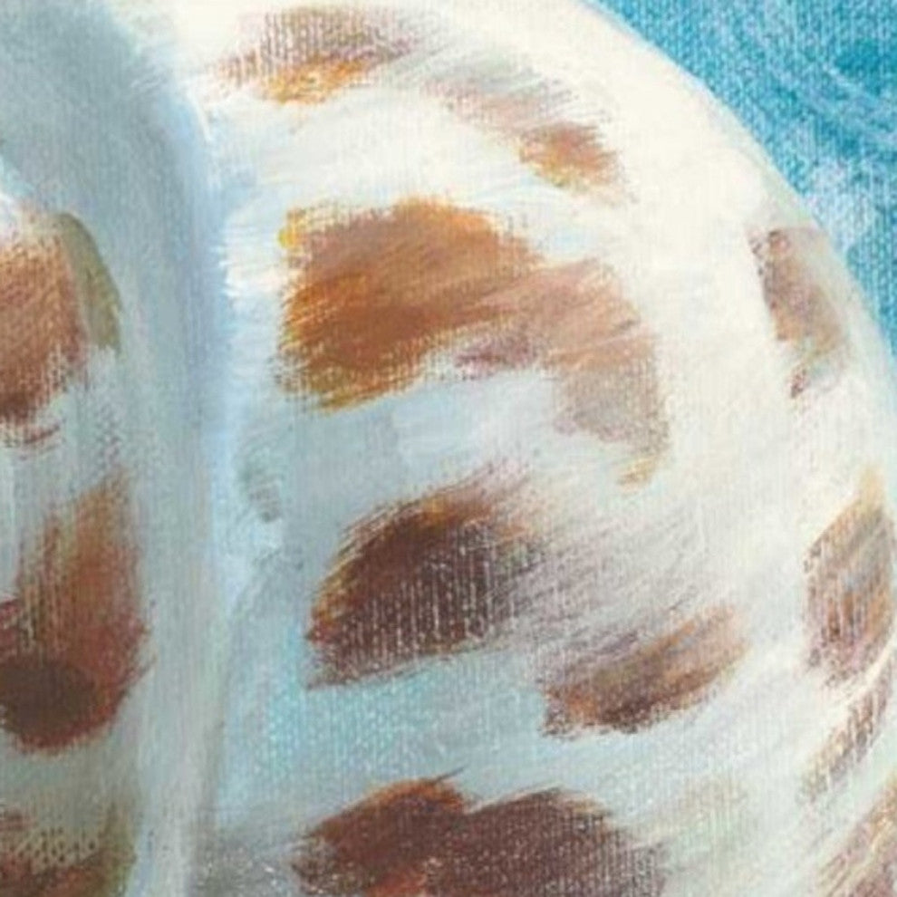 20" Mod Blue Scroll Coastal Conch 2 Giclee Wrap Canvas Wall Art