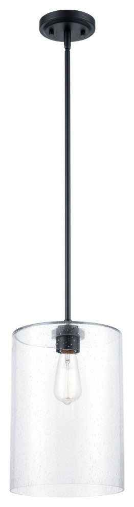 1 Light 9 in. Matte Black Mini-Pendant