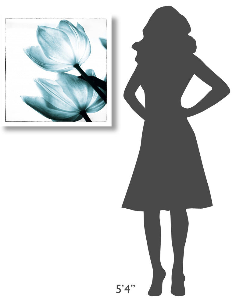 "Translucent Tulips II Sq Teal" Paper Print by Debra Van Swearingen, 26"x26"