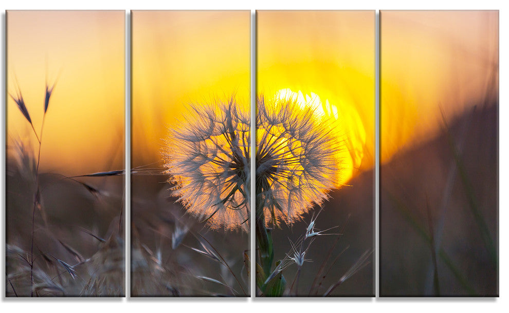 Stunning Dandelion View At Sunset, Floral Canvas Art Print, 48"x28", 4 Panels