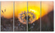 Stunning Dandelion View At Sunset, Floral Canvas Art Print, 48"x28", 4 Panels