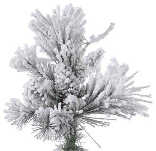 4.5' X 46" Flock Alberta W/Cones 382Tips