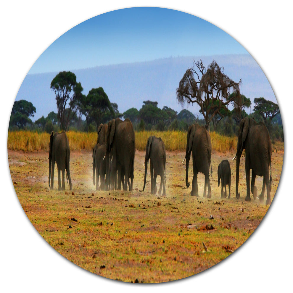 Memory Of African Wild Elephants, African Disc Metal Wall Art, 36"