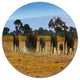 Memory Of African Wild Elephants, African Disc Metal Wall Art, 36"