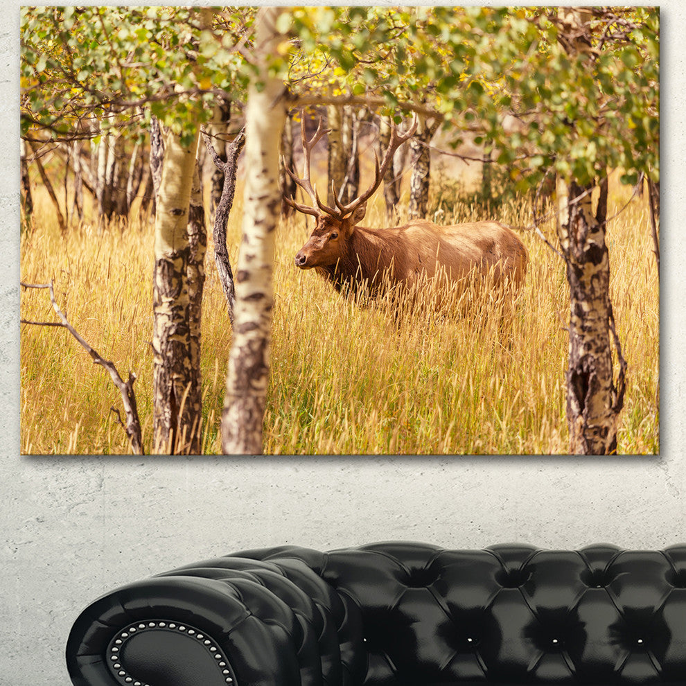 Deer in Thick Forest Grassland, Oversized Landscape Canvas Art, 40"x30"