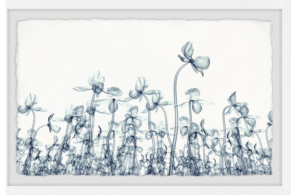 "Spring Flowers Bloom" Framed Painting Print, 12x8