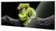 Green Tree Snake Glossy Lacquer Canvas Wall Art Print Panel, 48" x 18"
