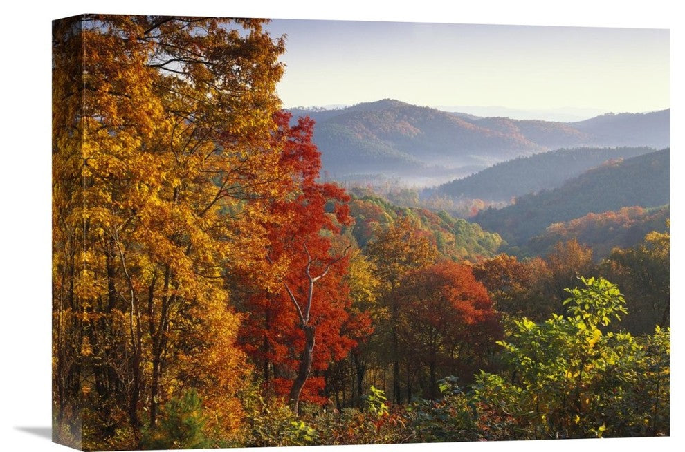 "Autumn Foliage On Blue Ridge Range, North Carolina" Artwork