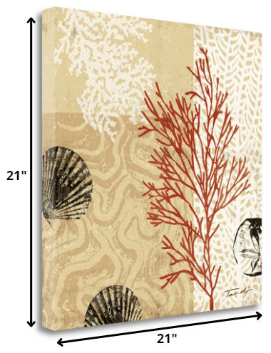 21" Underwater Coral With Seashells and Sandollar 1 Giclee Wrap Canvas Wall Art
