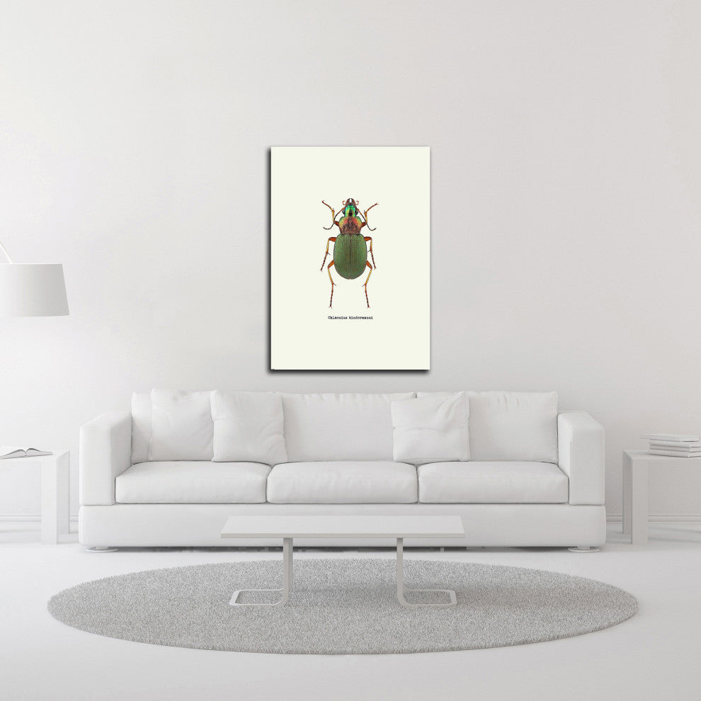 "Beetle Green" by GraphINC, Print on Canvas, 25"x35"