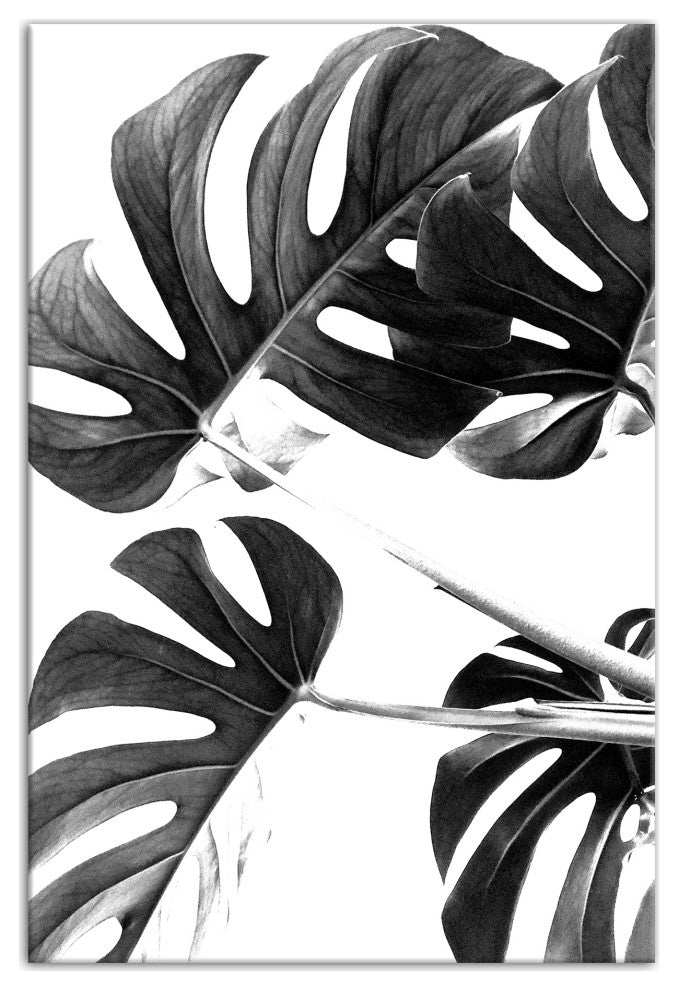 Black And White Monstera 12x18 Canvas Wall Art