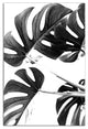 Black And White Monstera 12x18 Canvas Wall Art