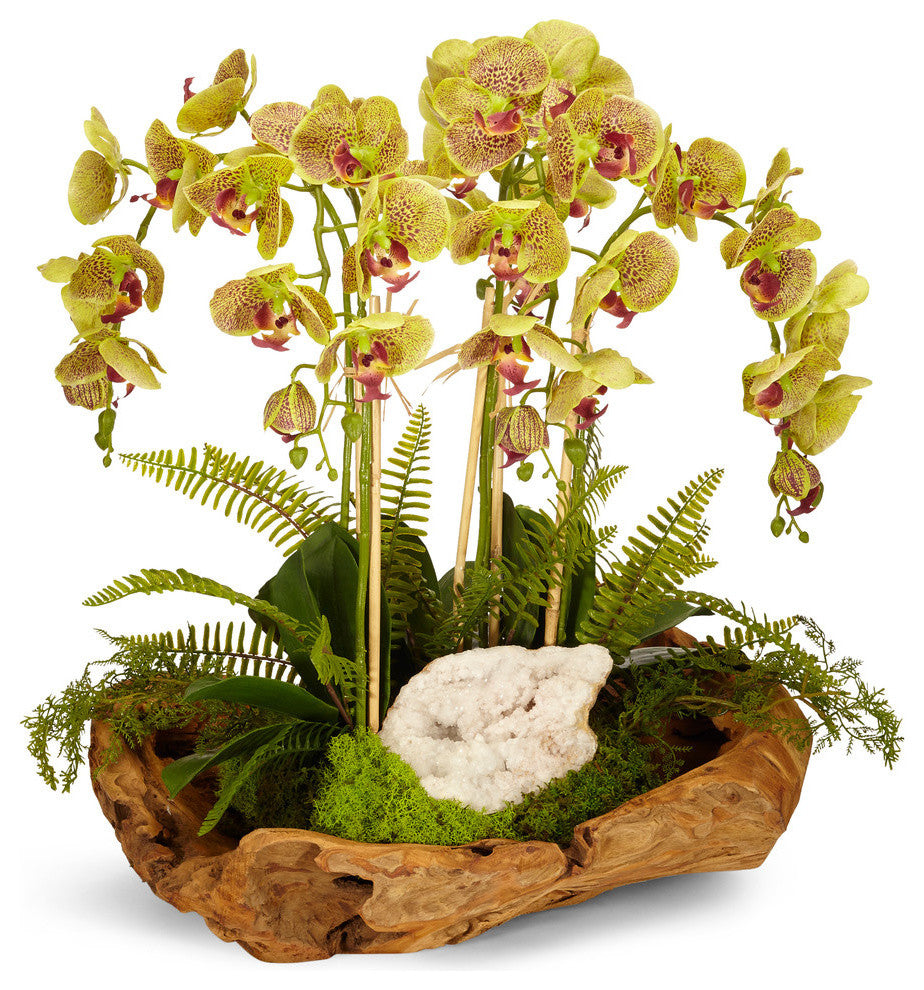 Orchid and Geode in Wood Bowl, Green