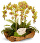 Orchid and Geode in Wood Bowl, Green