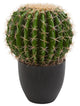 Nearly Natural Cactus Artificial Plant