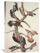 "Hairy Woodpecker" Artwork, 24" x 36"