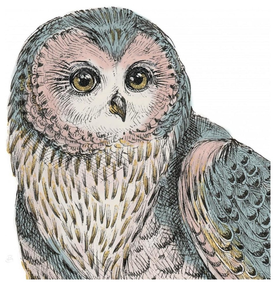 "Beautiful Owls IV Pastel Crop" Paper Print by Daphne Brissonnet, 42"x42"