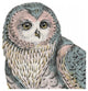 "Beautiful Owls IV Pastel Crop" Paper Print by Daphne Brissonnet, 42"x42"