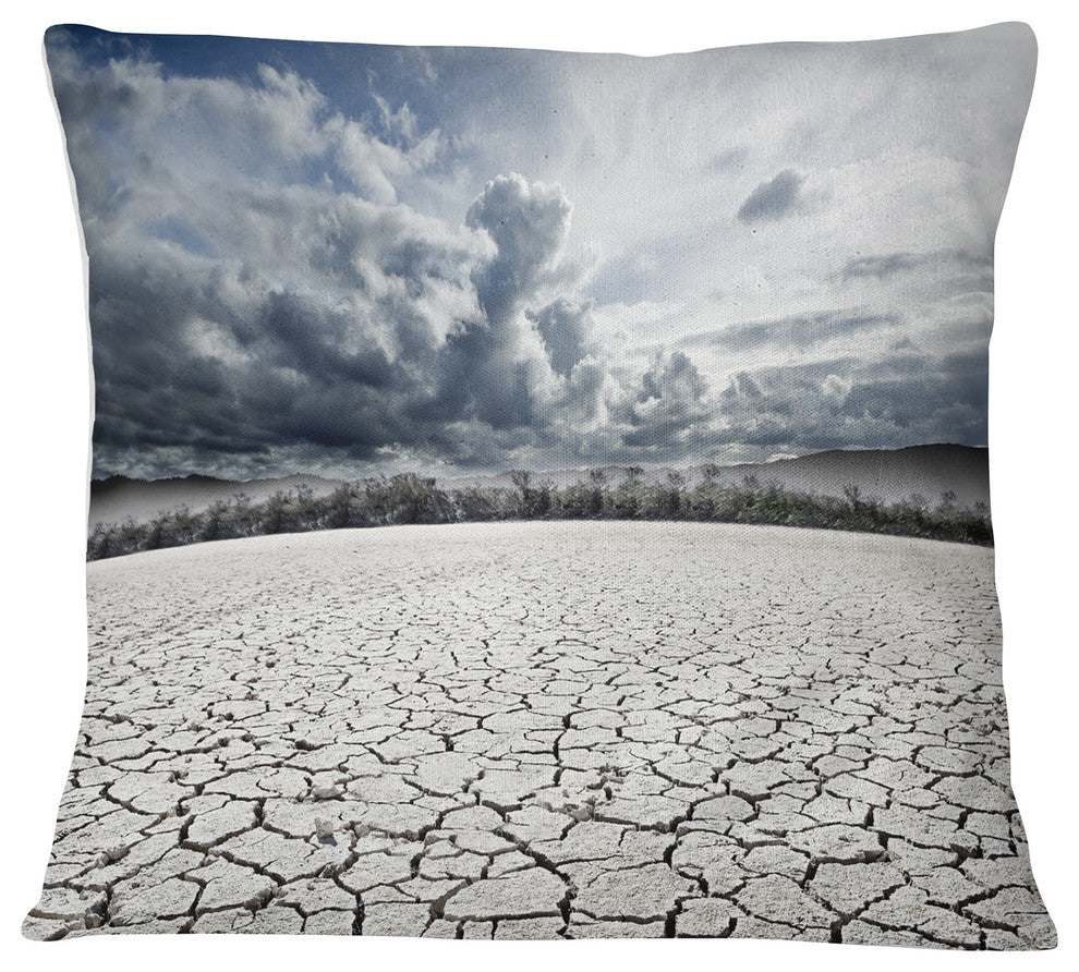 Desert Dreamscape Landscape Photo Throw Pillow, 16"x16"