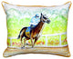 Home Stretch Small Indoor/Outdoor Pillow 11x14 - Set of Two