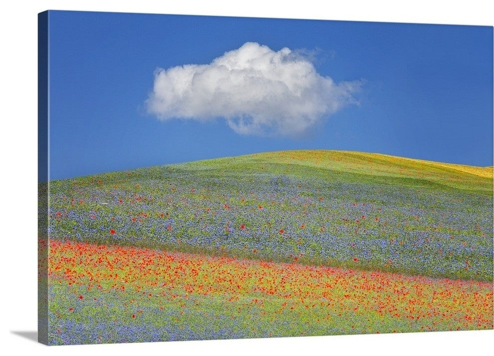 "Summer flowers" Wrapped Canvas Art Print, 36"x24"x1.5"