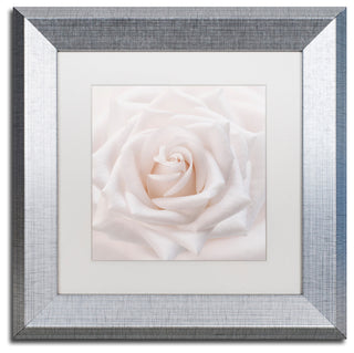 Cora Niele 'Soft White Rose' Matted Framed Art