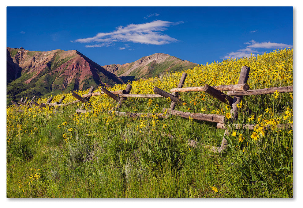 Michael Blanchette Photography 'Wood Fence' Canvas Art, 47"x30"