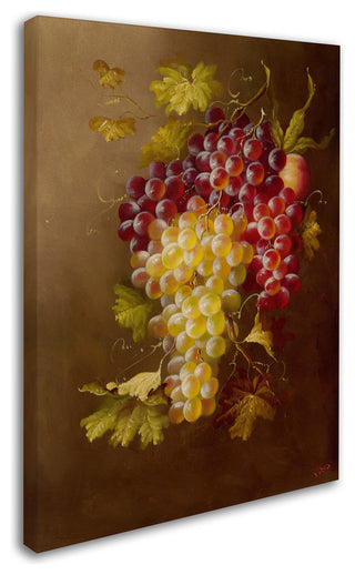 'Still Life with Grapes' Canvas Art by Rio