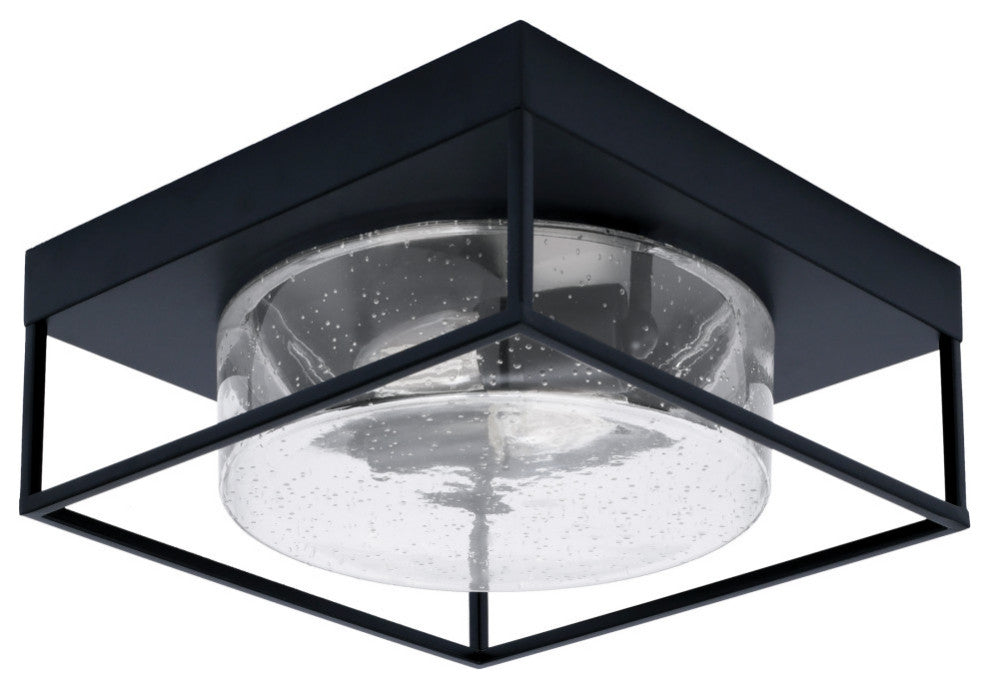 12" 2-Light Flush Mount Light, Matte Black, Clear Bubble Glass