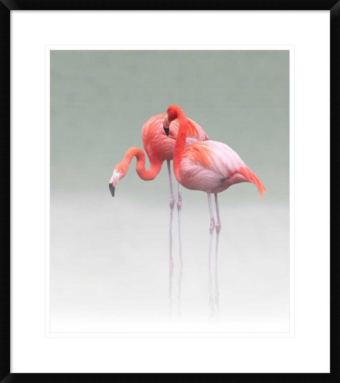 "Just We Two" Framed Digital Print by Anna Cseresnjes, 26x30"