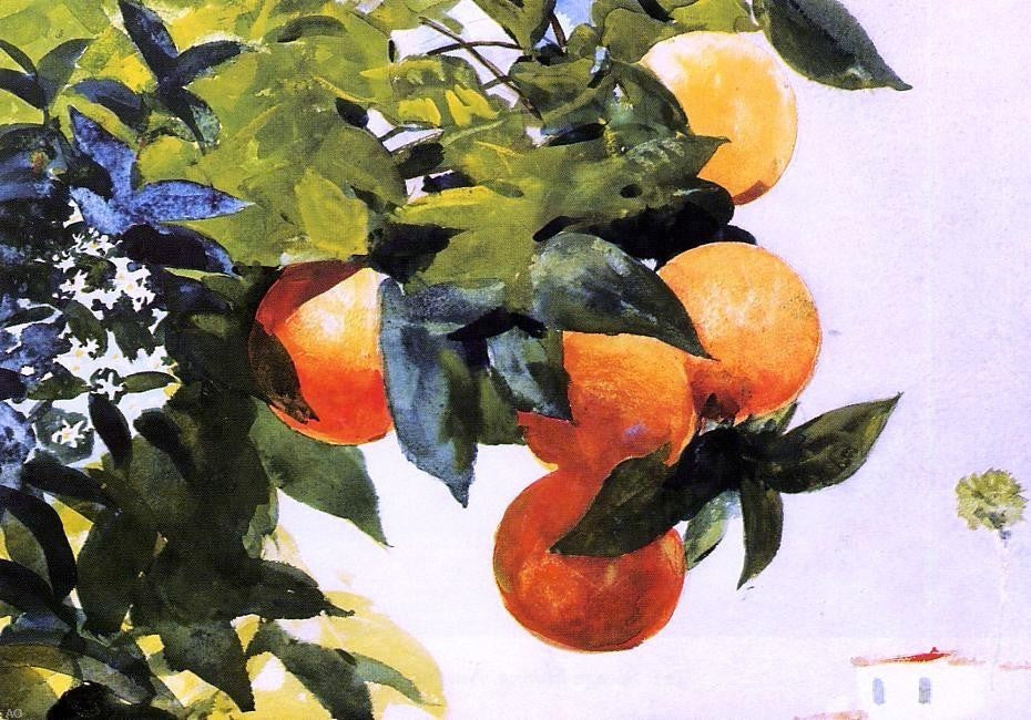 Winslow Homer Oranges on a Branch, 18"x27" Wall Decal