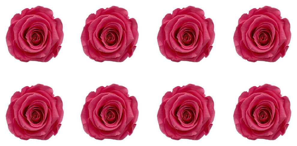 Regular Preserved Roses, Set of 8, Baby Pink