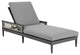 Zella Outdoor Patio Chaise Lounge Chair Aluminum Gray Rope/Earl Gray Cushions