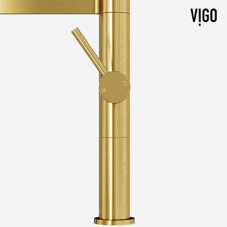 VIGO Edison Pro 20" H Single Handle Pull-Down Sprayer Kitchen Faucet, Matte Brushed Gold